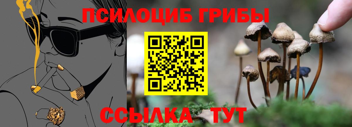 Галлюциногенные грибы мицелий Родники